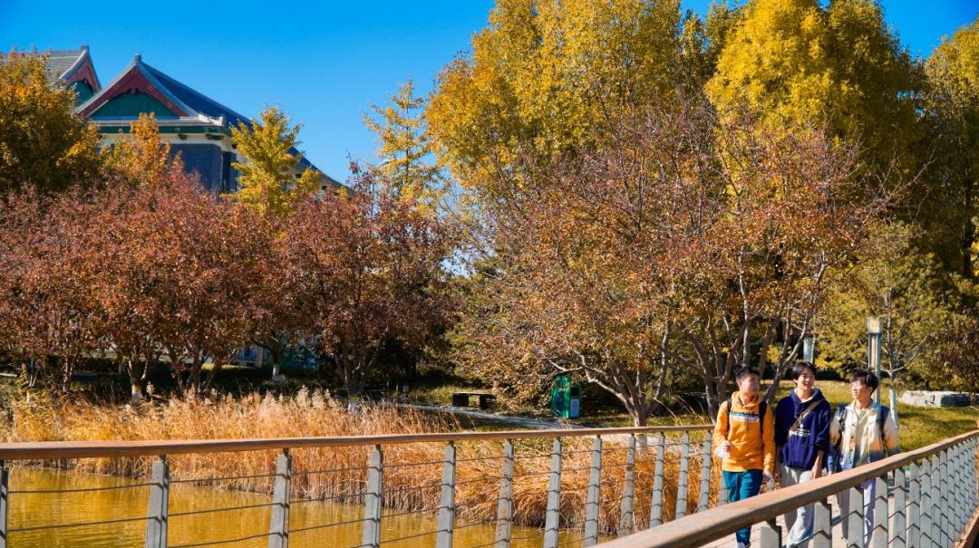 吴洪娜聊说育儿|捧一抔火红，邂逅建大之秋