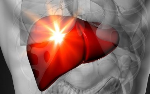 肝脏|3味中药被称作“烂肝大王”,医生直言:1味中成药,疏肝经,调肝郁