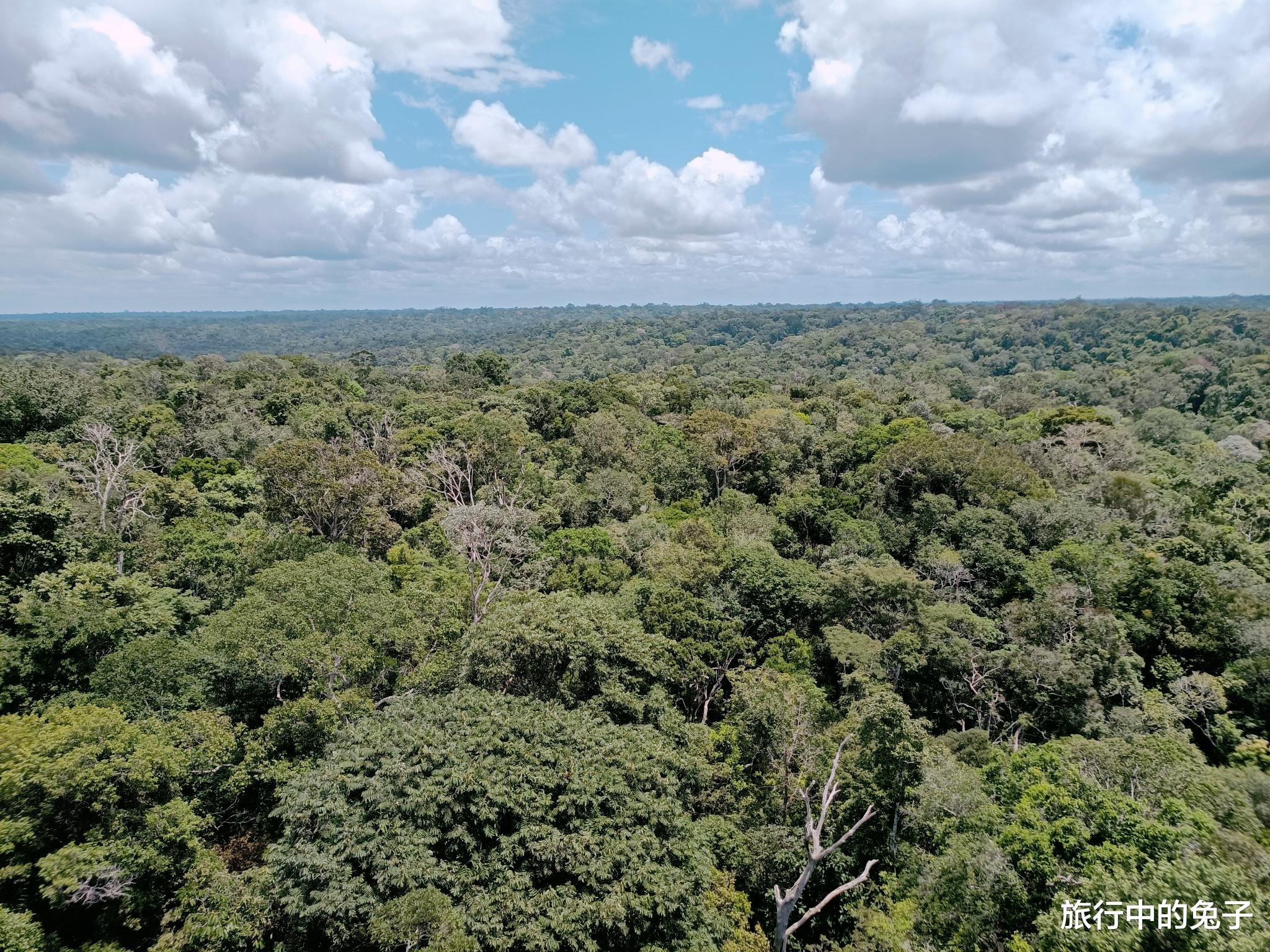 亚马孙热带雨林 “动物天堂”的亚马逊，为什么是人类禁区？