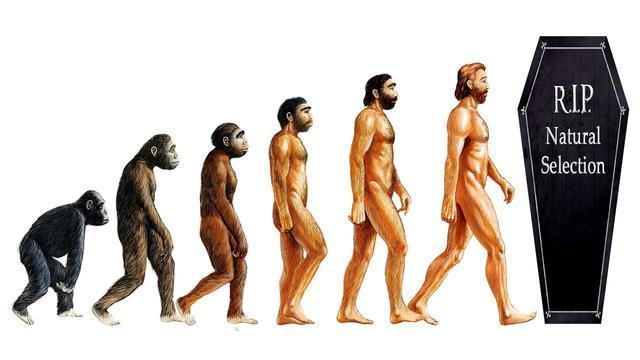 弗拉特伍兹怪物外星人:美国小镇70年前的UFO和怪物目击事件