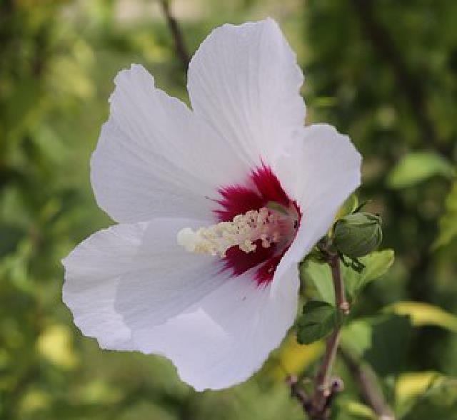 陈敏妍说情感|短有深意的感悟句子,精致走心,读读受益无穷