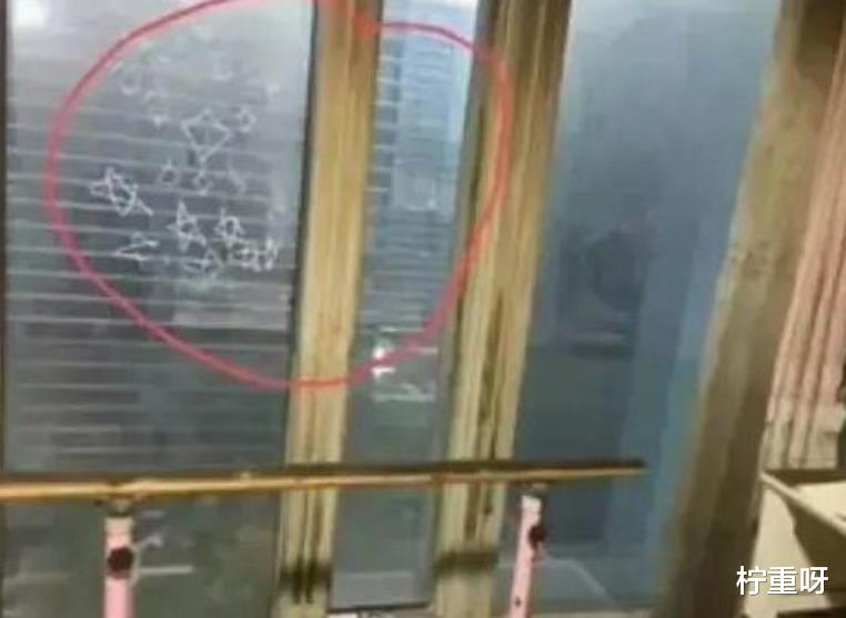 佟丽娅|夫妻感情早有裂痕？林生斌曾给亡妻发看星星，小贞回复惊讶表情