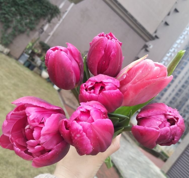 为这300㎡露台花园，毫不犹豫买了这房子，在城市屋顶过上田园生活