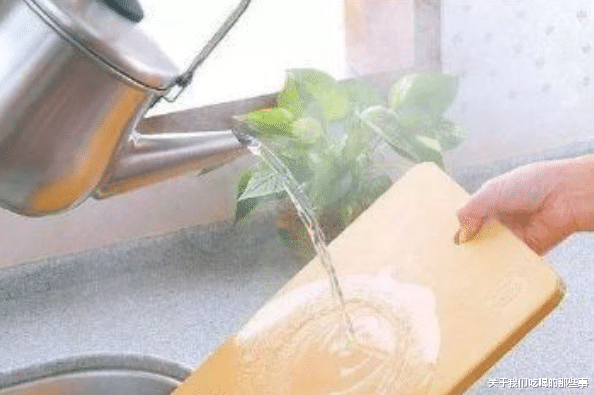 食盐|木砧板、竹砧板、塑料砧板，哪种好？区别大，选错了“病从口入”