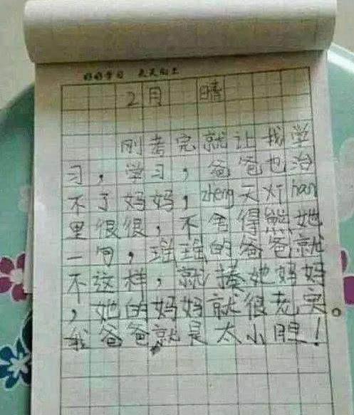 舜网 小学生搞笑作文,老师气得摔钢笔,真的是太皮了