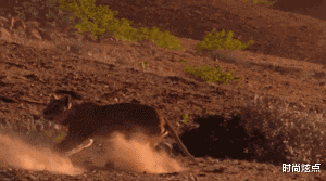 时尚炫点 老婆怀孕期间，作为老公的你是怎么撑过来的？