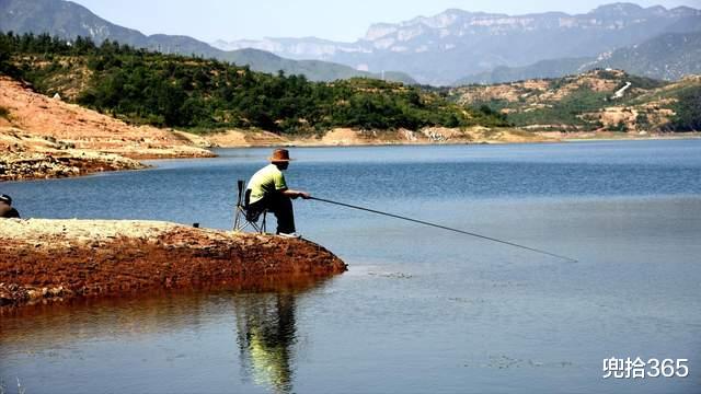 江苏省|江苏一男子河边野钓，鱼没钓到意外收获了一根木头，网友：发财了