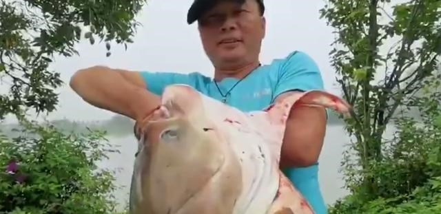 饵料|福建大叔钓起“百斤大白鱼”引围观，路人：这鱼估计没细刺