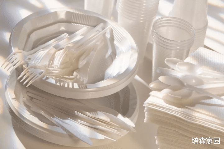 塑料袋和纸袋哪个更环保？