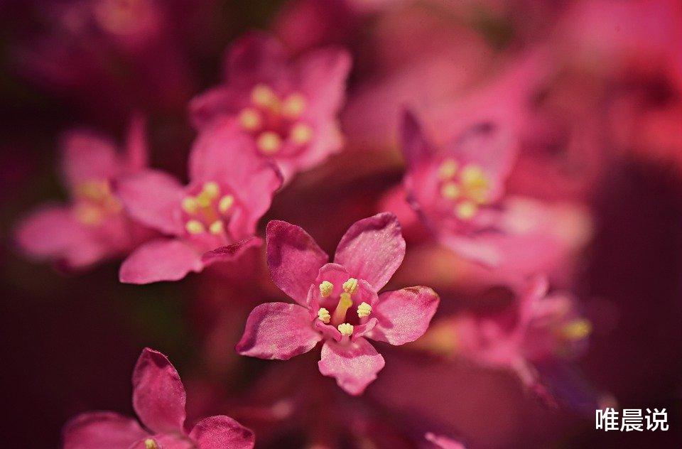 唯晨说|人老了，别再为不值得的事生气，只图余生安稳