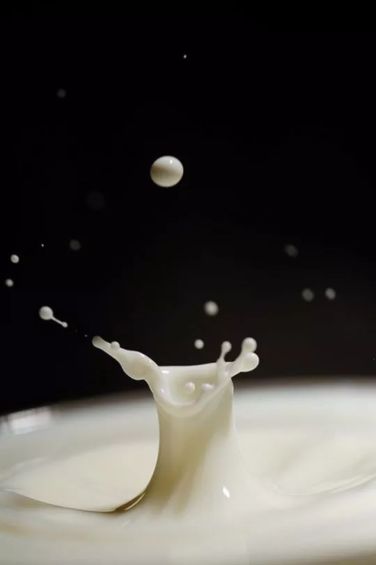 九航云选|生活 | 牛奶不是人人都能喝？关于牛奶的这个真相你一定要知道