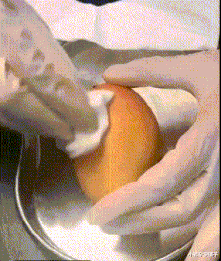  在沙滩上发现颜色鲜艳的东西，是什么奇怪的生物吗？