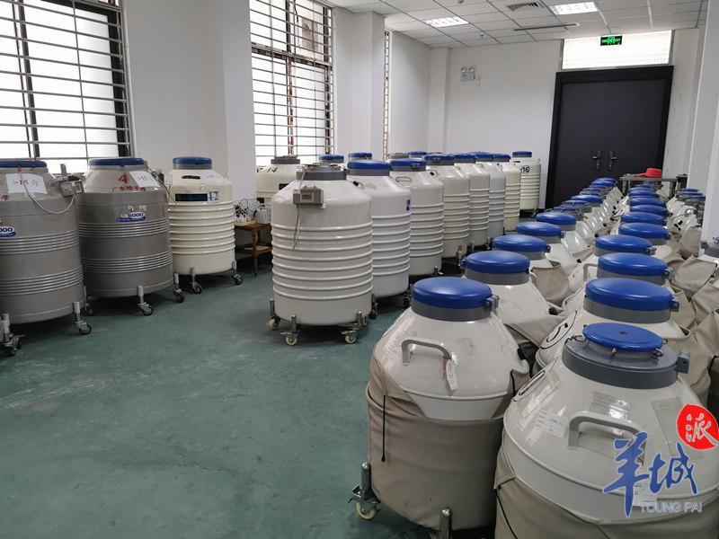 羊城派 助孕公益活动来啦!即日起这三类家庭可申请减免助孕费用