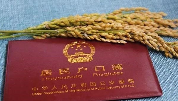 |还是农村户口吗？“身价”大涨，多项福利来了，需重视