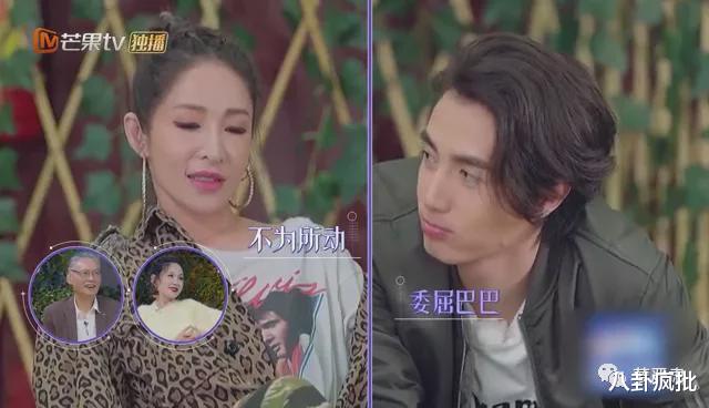 张雨绮|张雨绮，内地萧亚轩？