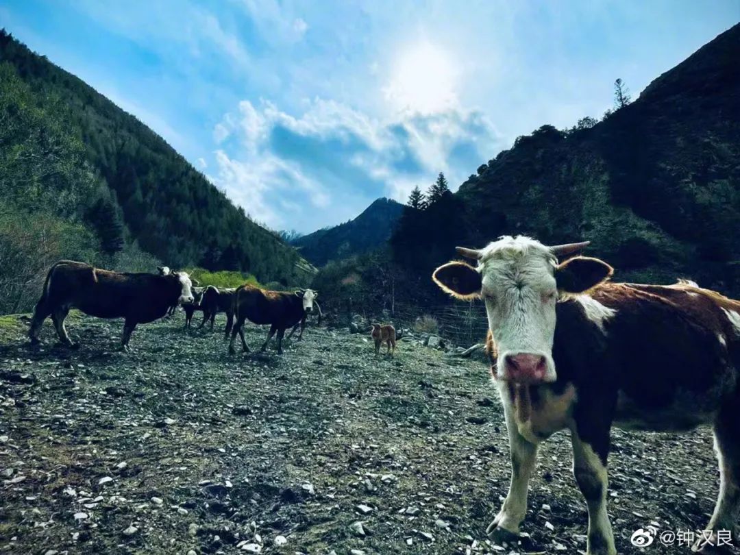 赵丽颖|又一男星隐婚被曝光!网友:出道28年0绯闻,原来是为了她