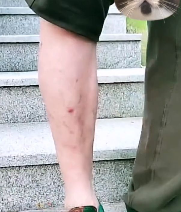 林生斌|千惠否认与林生斌联合炒作？称没收他一分钱，宋祖德指责两人演戏