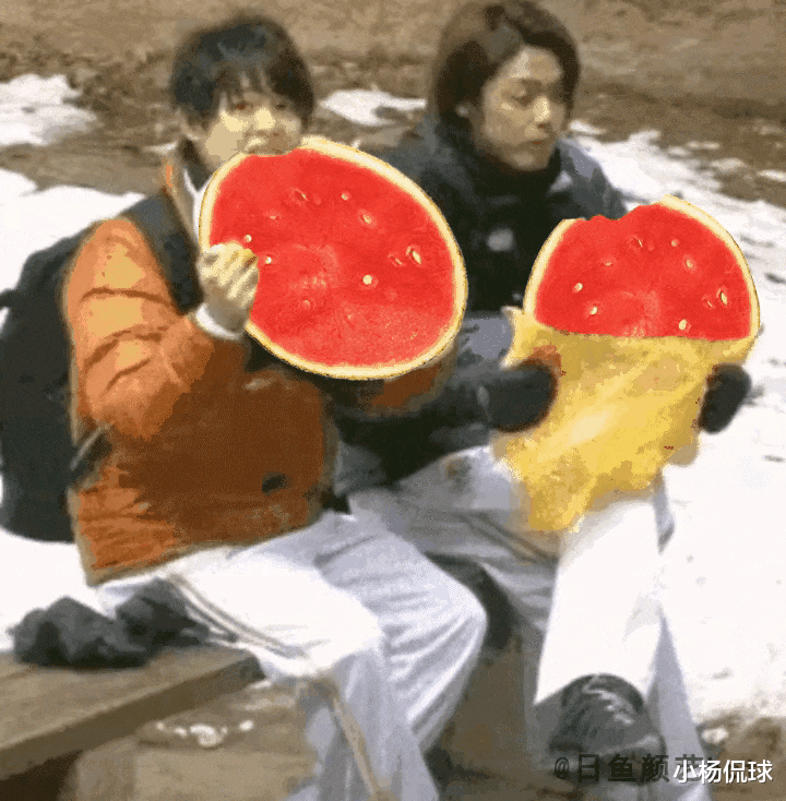 |泰山替补看未来