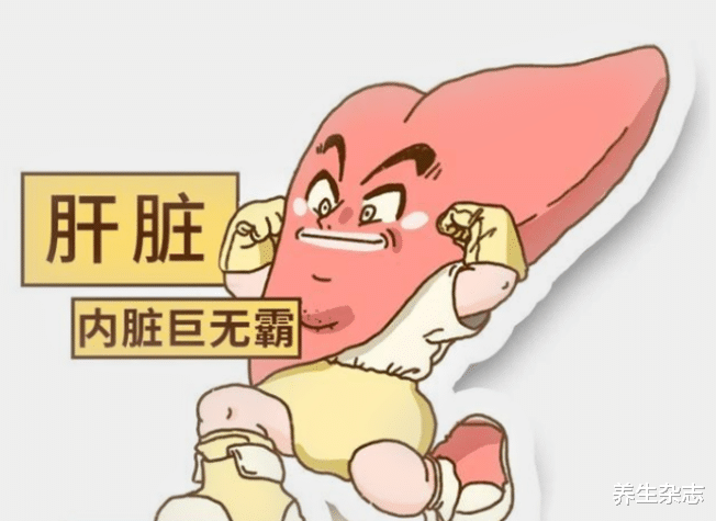 肝脏|常吃一物,肝会感激你,肝科:肝功差的人,敞开吃,肝会愈来愈“强壮”