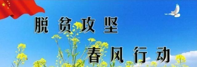 为爱伤心 乡村振兴给年轻人带来的5大机遇，个个倾向农村，已经有人抓住了