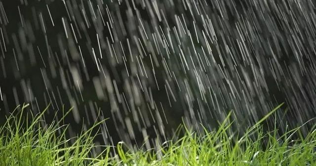 农村奇闻 八月初一到,晴天好还是下雨好?看农谚俗语怎么预兆?