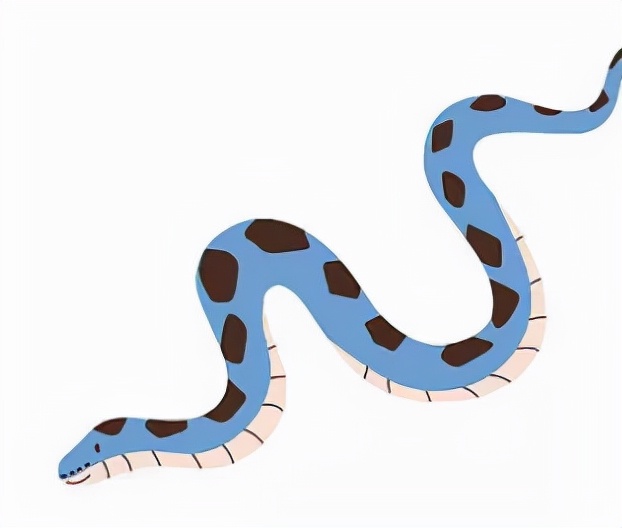 毒蛇 “世界蛇王”是人不是蛇,与一群毒蛇生活107天,结果怎么样?