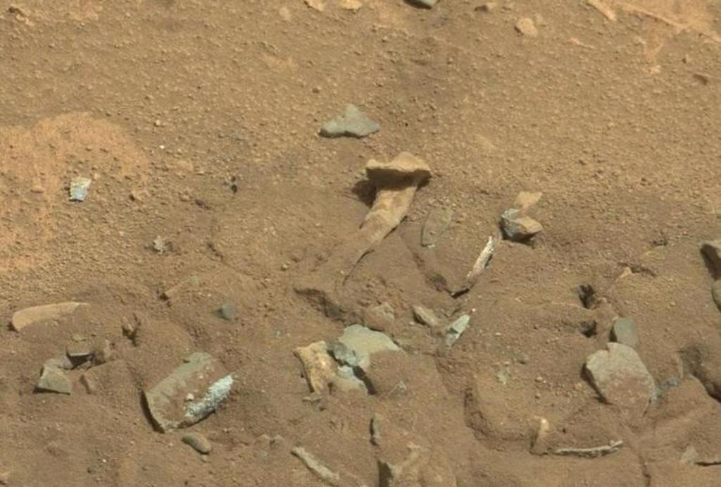 火星上的 10 个令人震惊的外星人形象会让你目瞪口呆