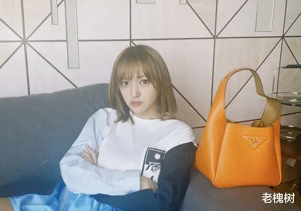 程潇|别硬撑洗白了！安心糊吧！