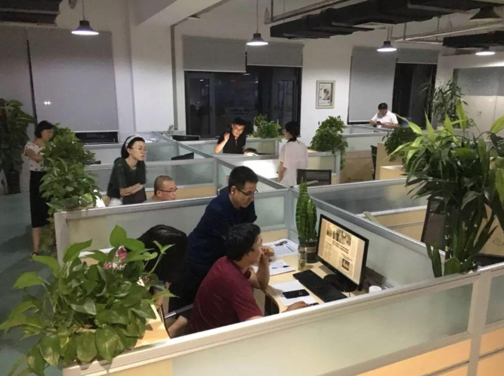 穿衣搭配|变了味的狼性文化，如今不过是职场内卷的遮羞布罢了