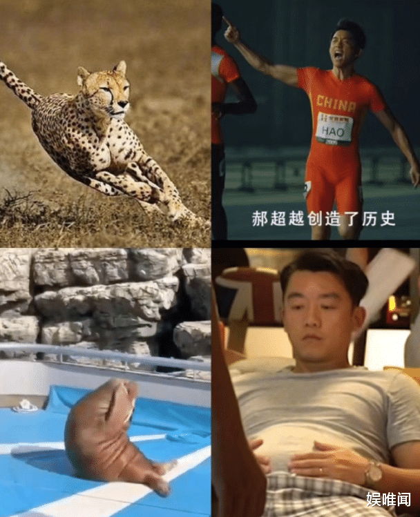 郑恺|郑恺两个月增肥40斤,从小猎豹到小海豹,也就是一张图片的距离