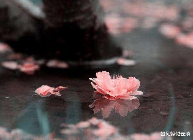 杨超越 年过五十，不要在朋友圈“显摆”这些，很掉价