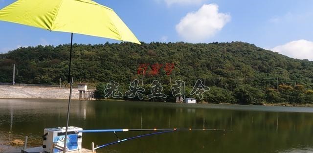 水库|收费50水库，守钓“巨物”一个星期有感！