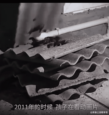 山羊身上没有羊毛 山东大叔养十亿只蟑螂促进环保事业，每年收入上千万！