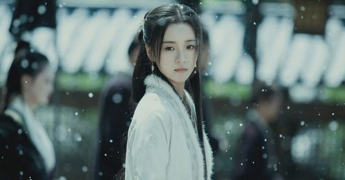 王仙芝|原著200万人在读，改编剧豆瓣仅5.7分，《雪中》为何争议如此大？