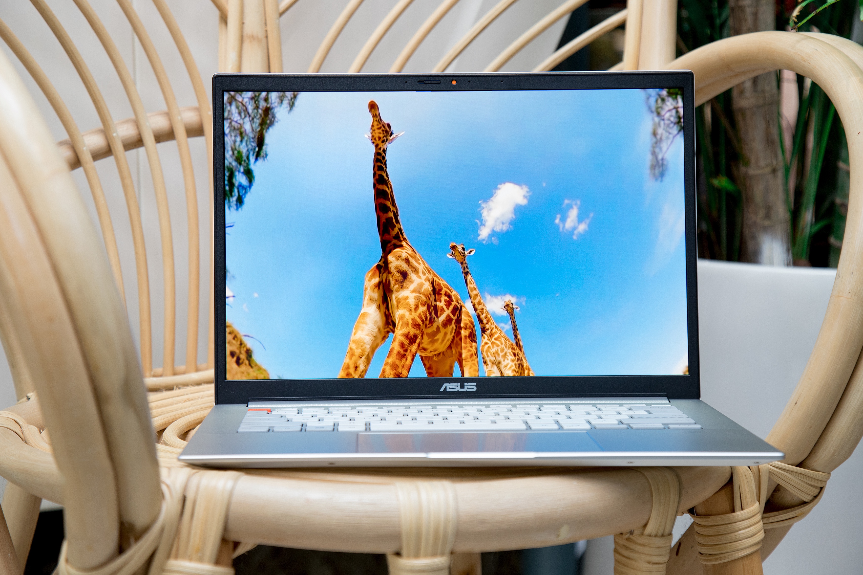 联想Yoga|双12轻薄本怎么选？优先考虑OLED屏，联想华硕两款热门机型上榜