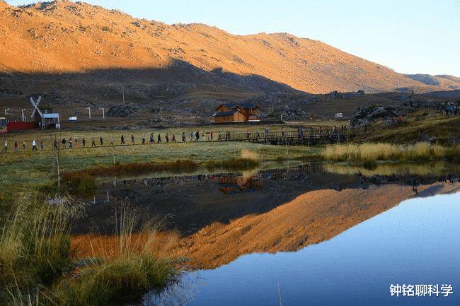 仙女虾 旱不死,热不死,冻不死!2亿年前物种仙女虾是什么虾,好吃吗?