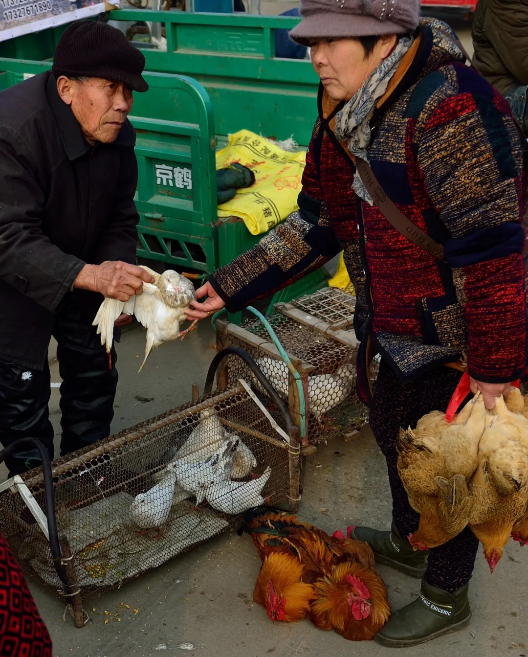 津门影像 津门网董广民：集市人家