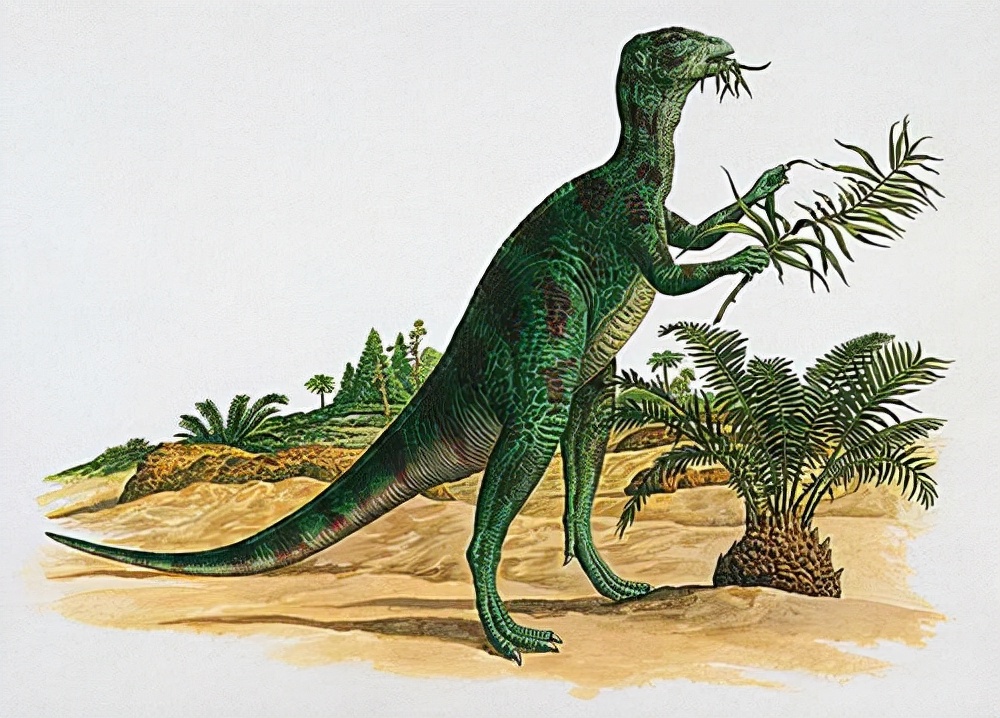 免疫系统 恐龙究竟长什么样，当看到这些动物骨架后，人们顿时明白了