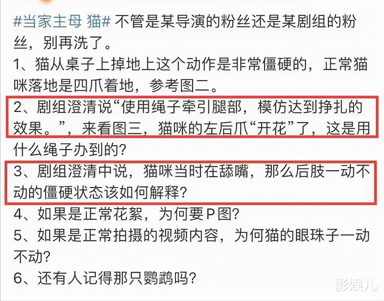 赵丽颖|被嘲“土”和“没文化”的赵丽颖，她的努力，会让多少演员脸红？