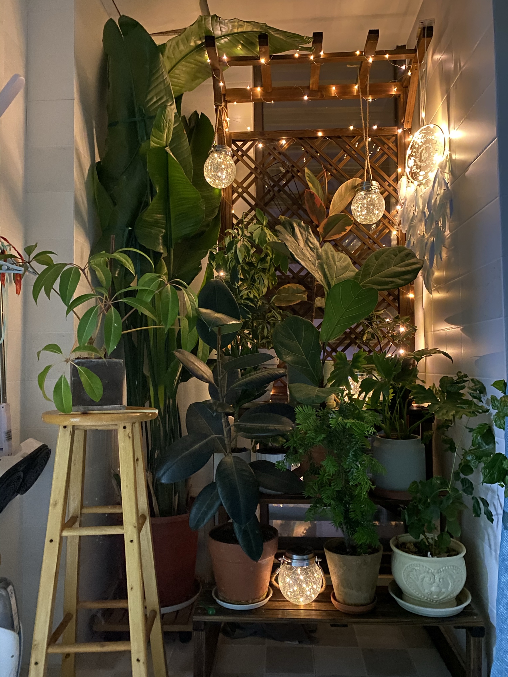 天堂鸟|小阳台花园设计案例分享,美观实用让你一眼就爱上,赶紧get起来