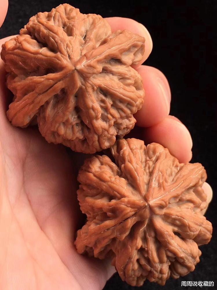 文玩核桃|文玩核桃，盘点一下由人名而命名的文玩核桃品种