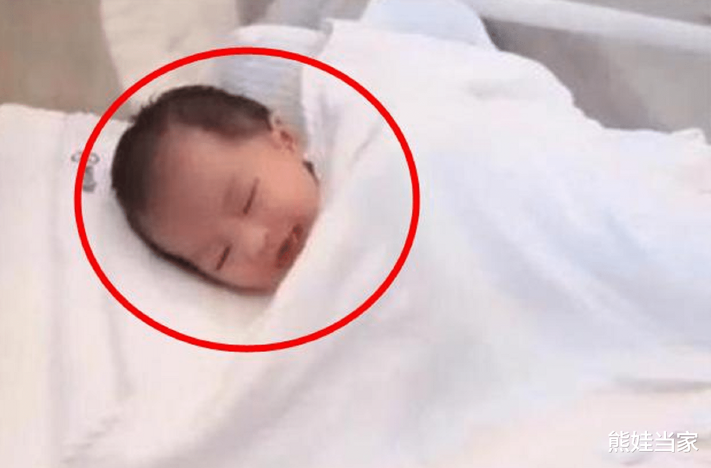 熊娃当家 “最美女婴”出生即巅峰,超高颜值获网友称赞,护士:天使下凡