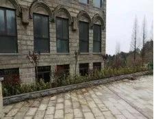 新报业传媒 【5A创建】鸡公山创建国家5A级旅游景区工作纪实（三）