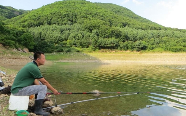 饵料|为什么说6月份的鱼不好钓？