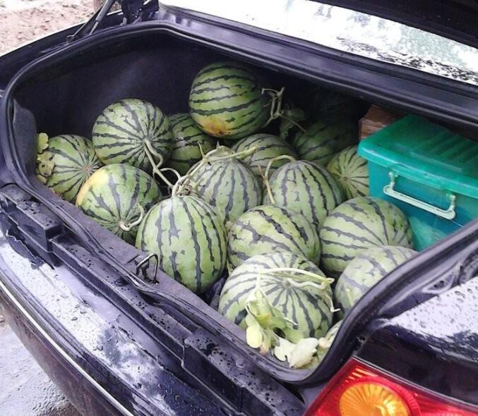 午后说车 后备箱装几个西瓜被罚200?车主反问交警:买两个西瓜吃怎么了?