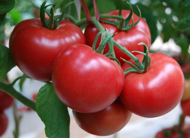 红薯|红薯是高血脂的“克星”？提醒：血脂偏高，不妨多吃这3物