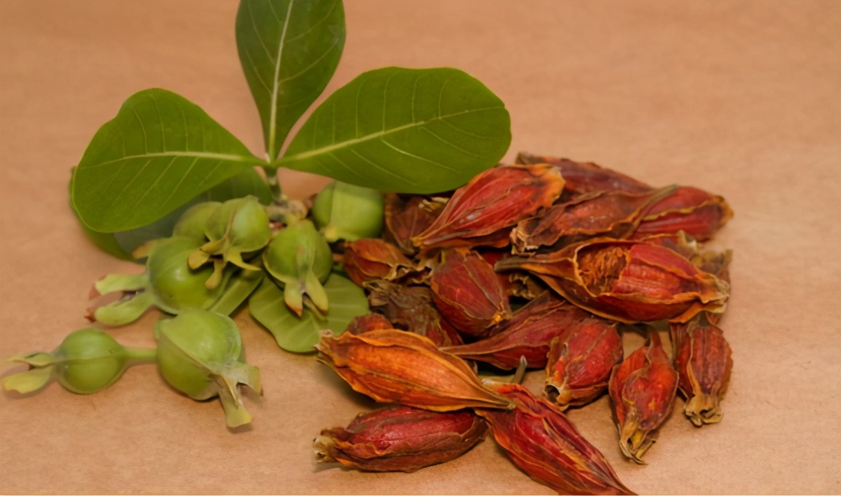 尿酸|1物是身体“刮酸器”，尿酸水平高，不妨多吃点，痛风悄悄说拜拜