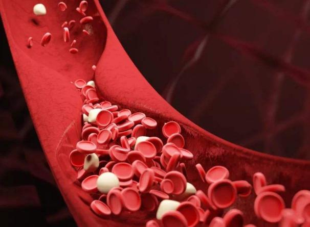 花生|高血脂不能吃花生？医生：除花生外，还有2种食物要尽量少吃