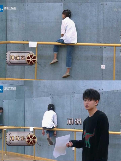 郑爽|郑爽是惨的，她为无数人背了锅！