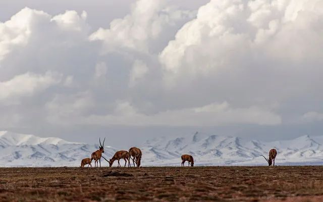 北京市 这30张照片,就是我辞职去西藏的全部理由